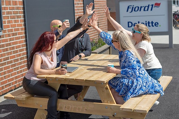 Bilde 1 av 4 i jobbannonse-galleriet