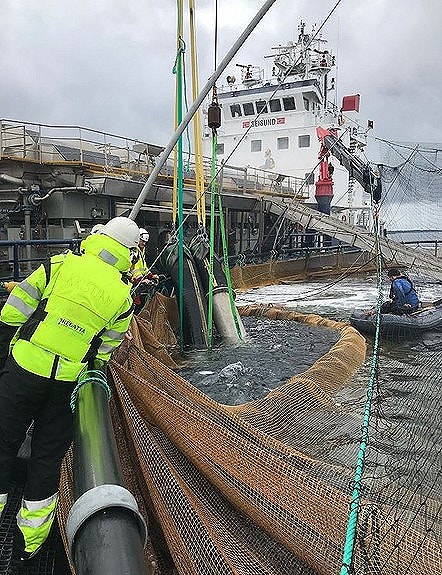 Bilde 4 av 4 i jobbannonse-galleriet