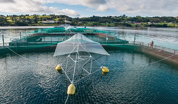 Bilde 4 av 4 i jobbannonse-galleriet