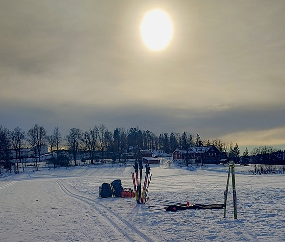 Bilde 2 av 6 i jobbannonse-galleriet