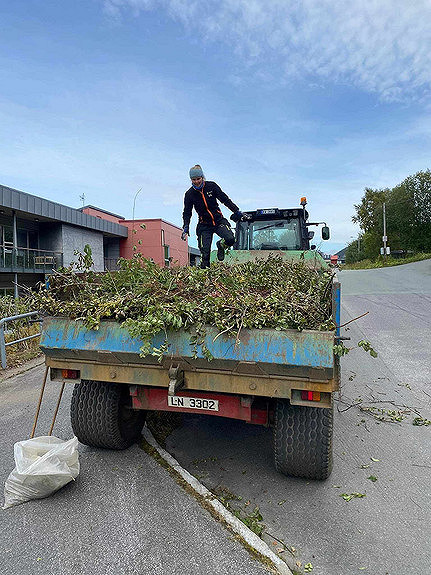 Beskjæring og bortkjøring av kvist