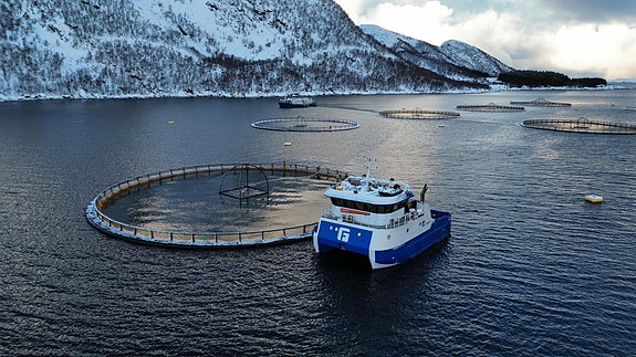 Bilde 1 av 1 i jobbannonse-galleriet