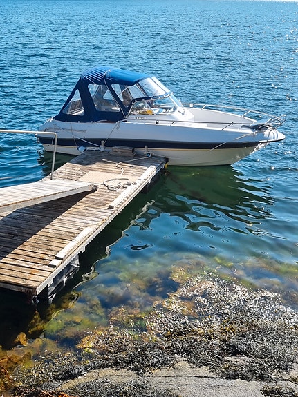 Askeladden Spider, 116 hk Mercruiser 11 of 26