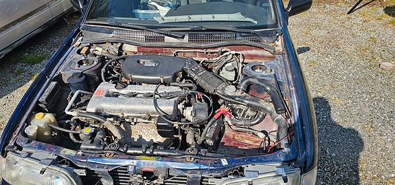 Nissan Primera 8 of 12