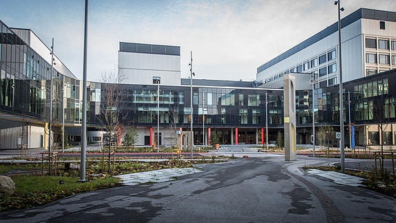 Bilde 2 av 7 i jobbannonse-galleriet