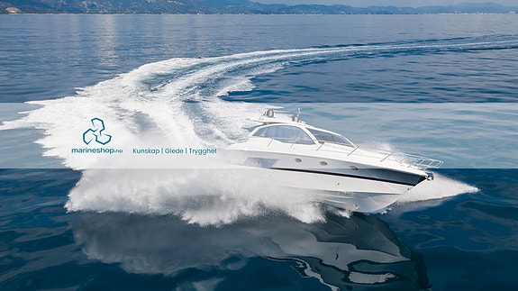 Bilde 1 av 2 i jobbannonse-galleriet