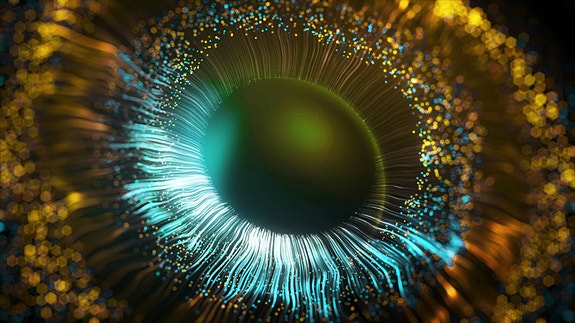 Bilde 1 av 1 i jobbannonse-galleriet