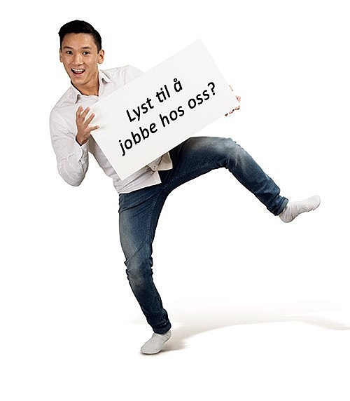 Bilde 3 av 4 i jobbannonse-galleriet