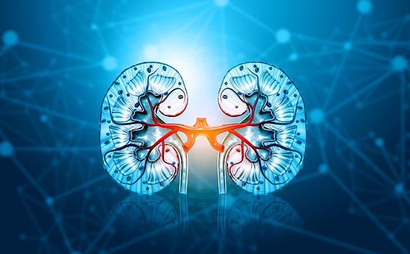 Bilde 3 av 4 i jobbannonse-galleriet