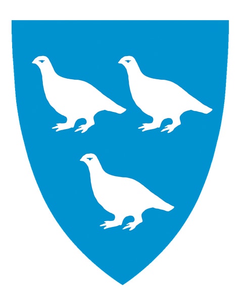 LIERNE KOMMUNE (972417963) logo