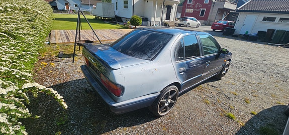 Nissan Primera 6 of 12
