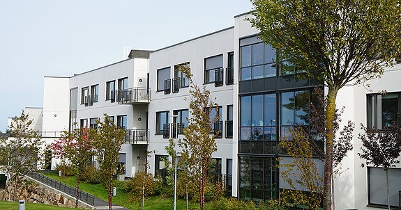 Bilde 1 av 4 i jobbannonse-galleriet