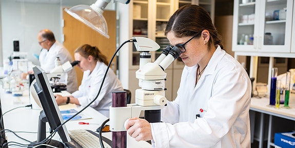 Bilde 1 av 2 i jobbannonse-galleriet