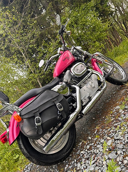Harley-Davidson XL 883 Sportster 12 of 21