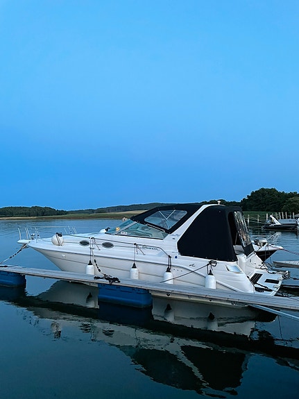 Sea Ray Sundancer 290 21 of 30