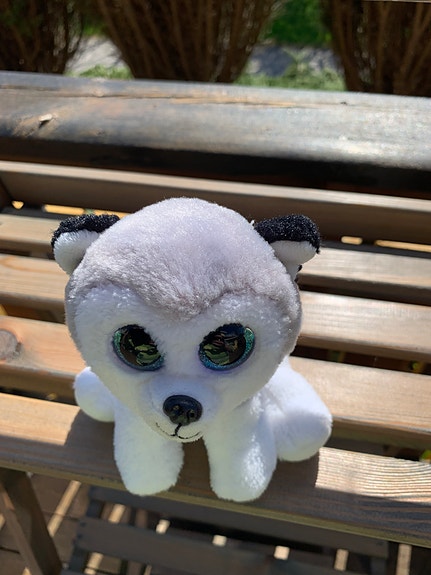 Product image 6 of 8