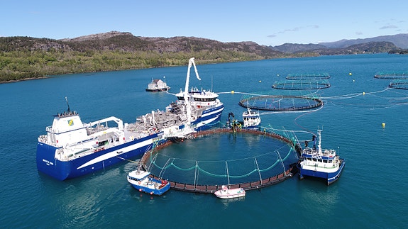 Bilde 6 av 6 i jobbannonse-galleriet