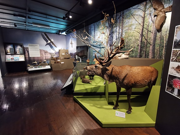 Ny utstilling: "Vår natur?"