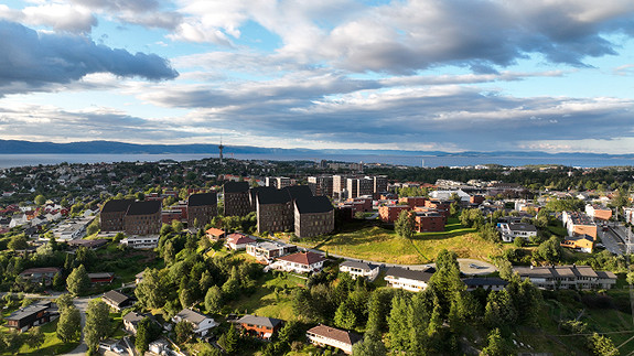 Bilde 1 av 1 i jobbannonse-galleriet