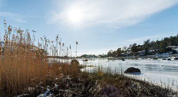 Bilde 3 av 3 i jobbannonse-galleriet