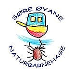Søre Øyane naturbarnehage SA logo