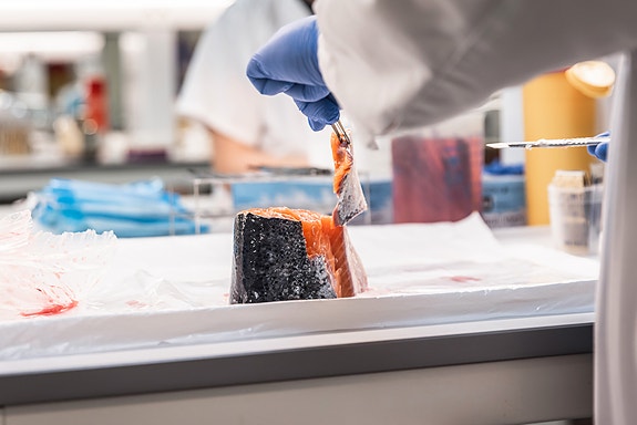 Bilde 3 av 8 i jobbannonse-galleriet