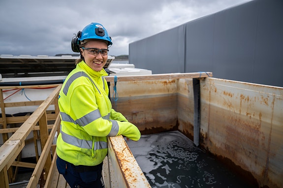 Bilde 2 av 2 i jobbannonse-galleriet