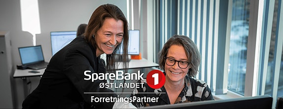 Bilde 2 av 2 i jobbannonse-galleriet