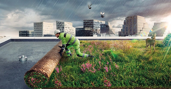 Bilde 1 av 4 i jobbannonse-galleriet