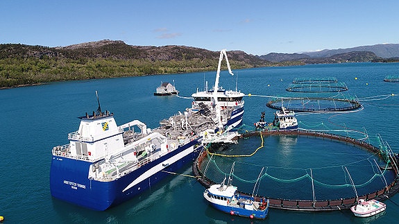 Bilde 5 av 8 i jobbannonse-galleriet