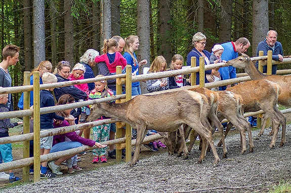 Bilde 2 av 4 i jobbannonse-galleriet