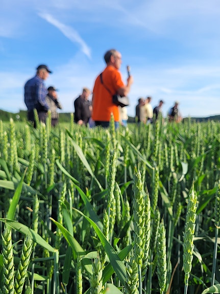 Markvandringer med grunneiere
