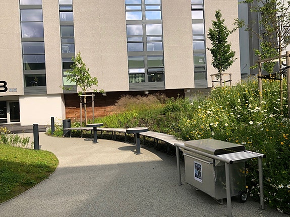 Bilde 1 av 3 i jobbannonse-galleriet