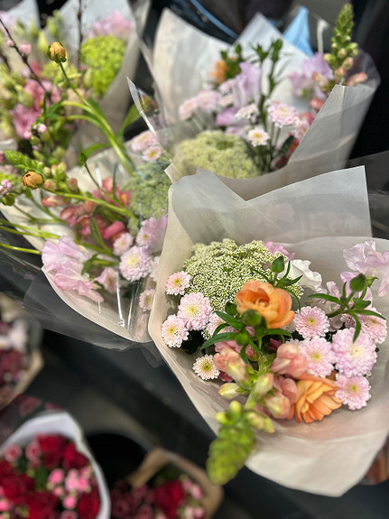 Bilde 6 av 7 i jobbannonse-galleriet