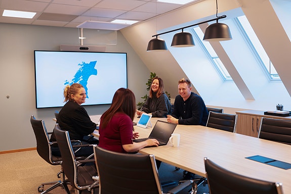 Bilde 1 av 1 i jobbannonse-galleriet