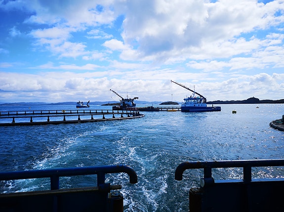 Bilde 7 av 9 i jobbannonse-galleriet