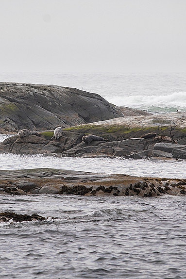 Bilde 5 av 7 i jobbannonse-galleriet