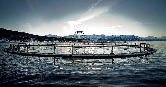 Bilde 1 av 6 i jobbannonse-galleriet