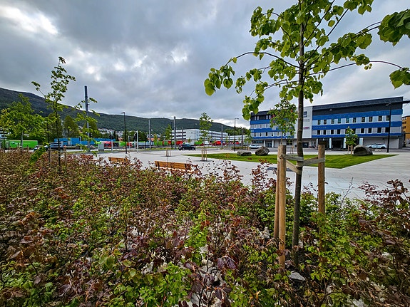 Bilde 3 av 4 i jobbannonse-galleriet