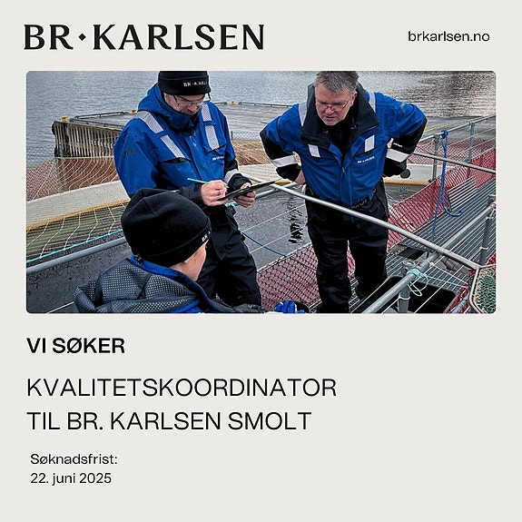 Bilde 1 av 1 i jobbannonse-galleriet