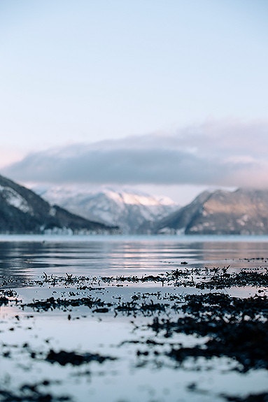 Bilde 4 av 8 i jobbannonse-galleriet