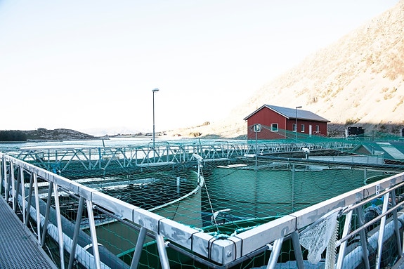 Bilde 1 av 2 i jobbannonse-galleriet