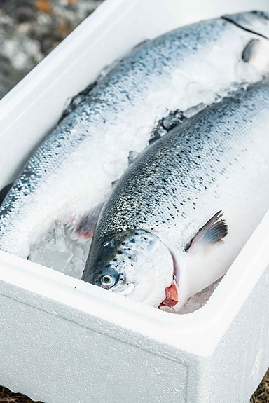 Bilde 1 av 2 i jobbannonse-galleriet