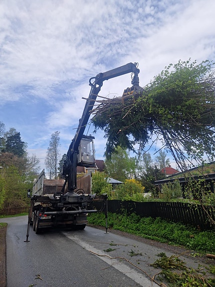 Bilde 6 av 6 i jobbannonse-galleriet