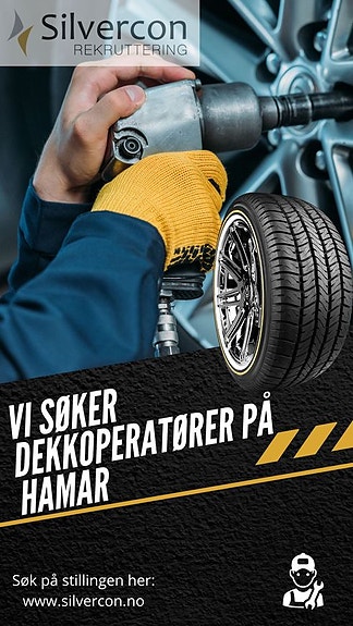 Bilde 1 av 1 i jobbannonse-galleriet