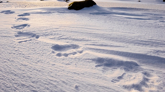 Bilde 9 av 10 i jobbannonse-galleriet