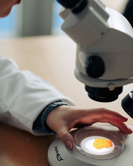 Bilde 2 av 7 i jobbannonse-galleriet