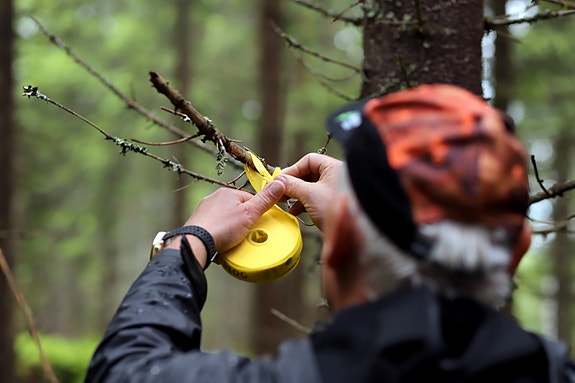 Bilde 3 av 3 i jobbannonse-galleriet