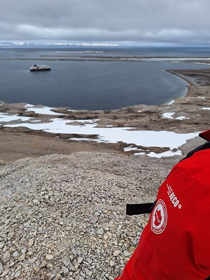 Bilde 2 av 6 i jobbannonse-galleriet