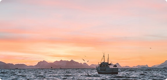 Bilde 2 av 4 i jobbannonse-galleriet